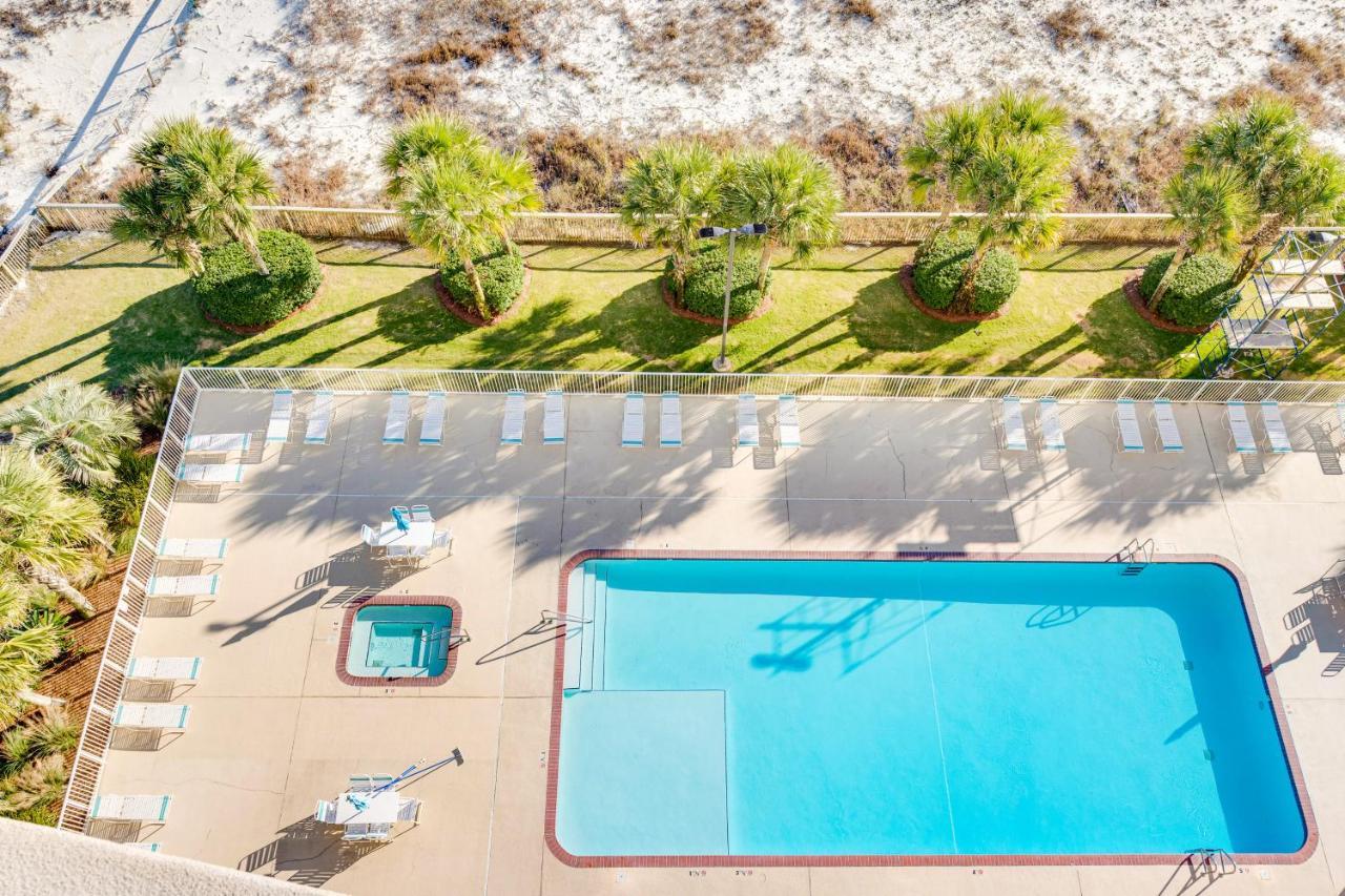 דירות אורנג' ביץ' Regency Isle 802 מראה חיצוני תמונה